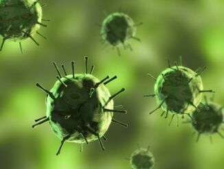 Bacteria causing diseases in which mucosal secretions appear