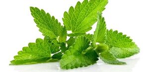 the use of mint to increase activity