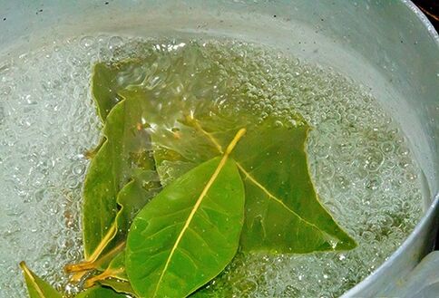 Decoction of bay leaves for a relaxing bath for power problems