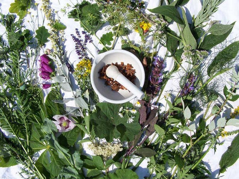 herbal power therapy